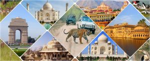 Wildlife and Taj Mahal Tour India