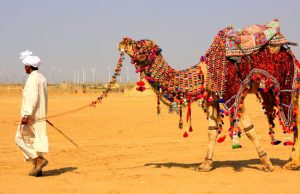 Jaipur-Jodhpur-Jaisalmer-Bikaner Tour