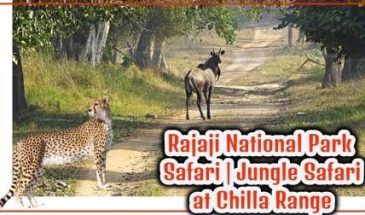 rajaji national park
